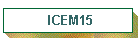 ICEM15